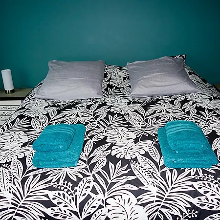 게스트하우스 Homestay Bellevue